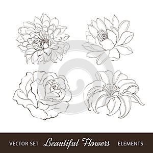 Set of flowers isolated over white.