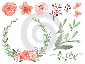 Set of flowers and leaves vector