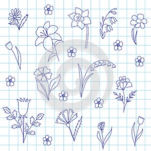 A set of flowers in a school notebook
