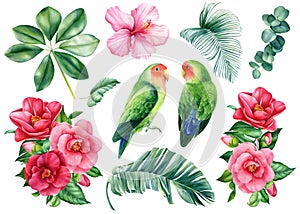 Set of flowers, tropical leaves palm and parrots lovebirds on isolated white background, watercolor illustration