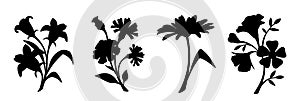 Set of flowers. Vector black silhouettes of flowers isolated on a white background