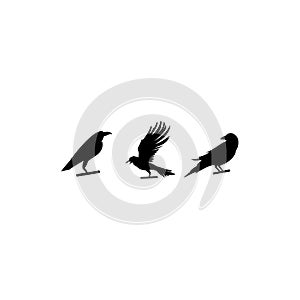 Set of flying birds sign, Dark silhouettes isolated on white