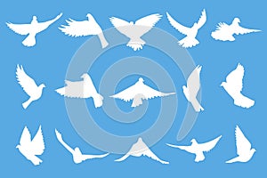 Set of flying doves on blue background