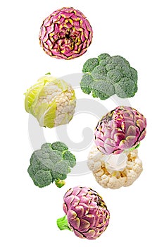Set of flying fresh vegetable ingredients isolated on white background