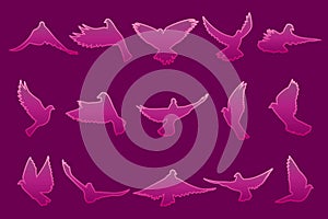 Set of flying pink doves on dark pink background