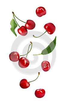 Set of flying ripe sweet cherries on white