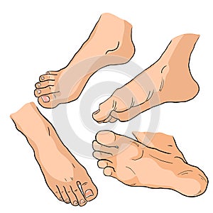 Set the foot in different positions. vector illustration