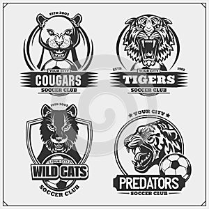 Set of football emblems, badges, logos and labels with tiger, cougars and wildcat. Print design for t-shirt.