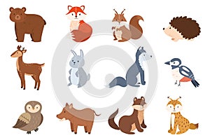Set Of Forest Animals Bear, Fox, Deer And Rabbit. Squirrel, Hedgehog, Wolf And Bird, Owl, Lynx, Boar, Ferret Or Weasel