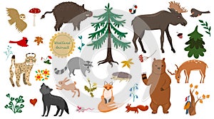 Set of forest animals, birds and plants isolated on a white background. Vector graphics