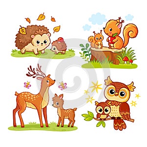 Set with forest animals and birds and their cubs. Vector collection of illustrations with animals in cartoon style