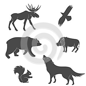 Set of forest mammal animals vector