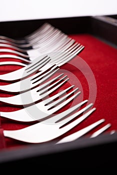 Set of of forks in a case