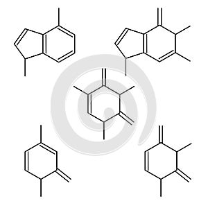 Set of formula DNA nucleotide. Guanine, adenine, cytosine and thymine line illustration isolated on white