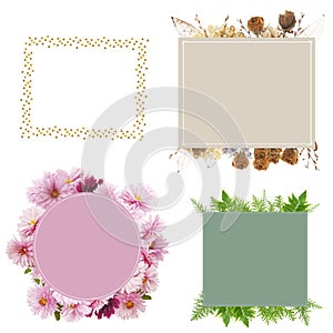 Set of four botanical decorative frames