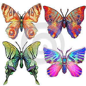 Set of four brightly coloured butterflies photo