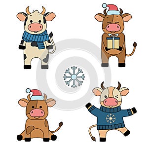 Set with four bulls in winter clothes. Collection of animal characters with outline. Cartoon vector illustration.
