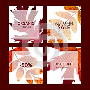 Set of four cards with fall leaves