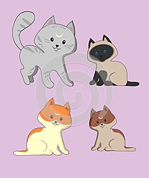 A set of four cute cats of different breeds