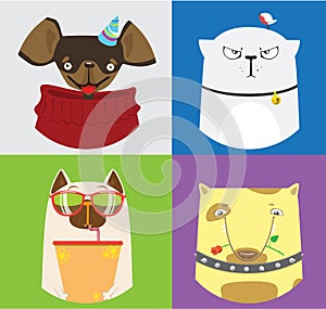 Set of four cute cats and dogs. Vector collection of domestic animals