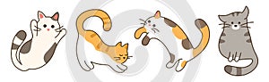 Set of four cute cats. Feline animal Character for children and pet shops. Gray, red, tricolor and tabby kittens.