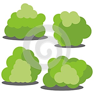 Set of four different cartoon green bushes isolated on white background.