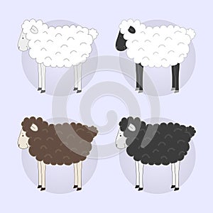 Set of four different color sheep