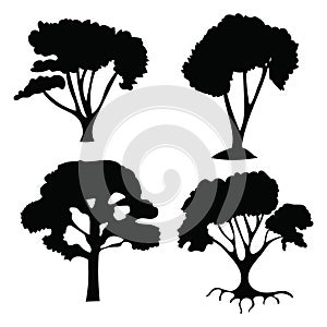 A set different detailed tree silhouettes.Nature vector illustration