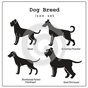 Set of four dog breeds icons