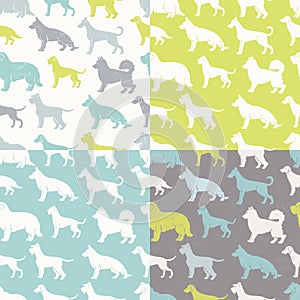 Set of four fresh stylized dog breeds seamless patterns