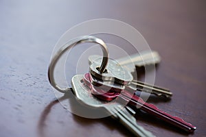 Set of four house keys on a keyring