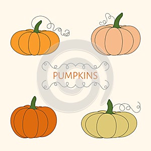 Set of four pumpkins. Vector illustration of autumn ripe cozy squash. Thanksgiving day background. Hygge time. Halloween party