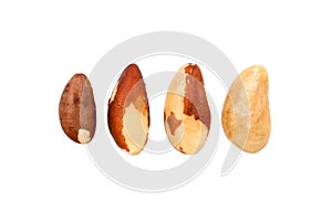 Set of four ripe Brazil nuts isolated on white background. Close up. Top view.