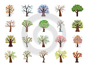 Set of Four Season Tree Flat Vector Icons