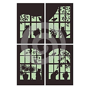 A set of four silhouettes of windows with cats and birds