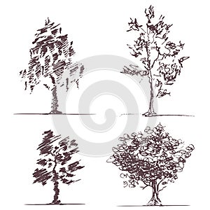 Set of four sketches trees
