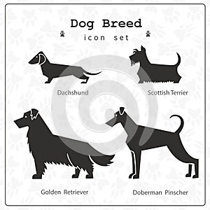 Set of four stylized dog breeds