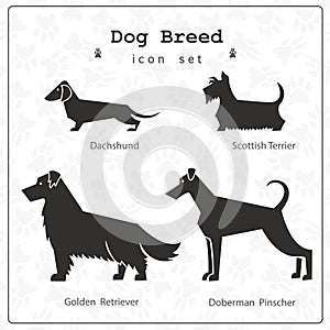 Set of four stylized dog breeds photo