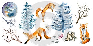 Set of fox, spruce, fir and moon watercolor illustration isolated on white background.