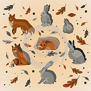 A set of foxes and hares in the foliage from different sides. Forest animals. Cute animals in full growth, stylization