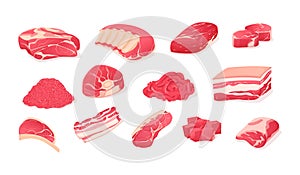 Set fragments of pork, beef meat. Assortment of meat slices