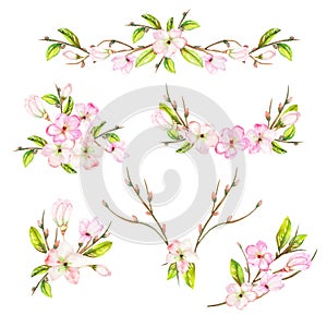 A set with the frame borders, floral decorative ornaments with the watercolor blooming flowers, leaves and branches with the buds