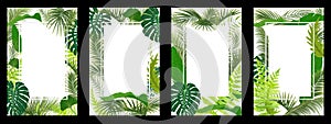 Set of frame with tropical leaf