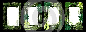 Set of frame with tropical leaf