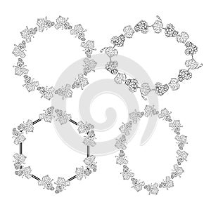 set of frames and with grape - vector ornaments
