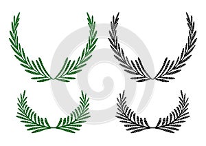 Set of frames with natural herbs of the fields. Colorful and black print wreaths with fennel. Branches of plants. Vector template