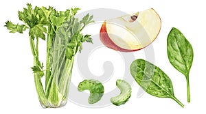 Set of frech celery with apple, spinach watercolor illustration isolated on whitre background