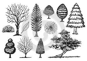 Un impostato composto da gratuito dipinto a mano alberi schizzo vettore illustrazioni progetto 