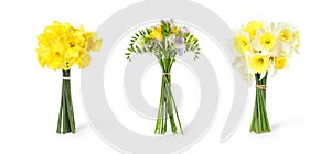 Set with freesia and daffodils flowers on background. Banner design