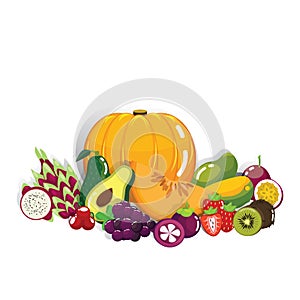 Set of Fresh Antioxidant Fruits in cartoon style